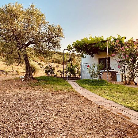 Casa Rural Arroyo Marco Guadalcanal Extérieur photo