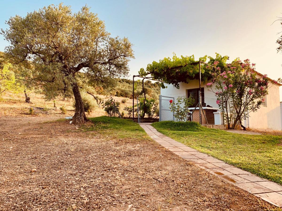 Casa Rural Arroyo Marco Guadalcanal Extérieur photo